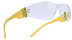 RAY CLEAR EYE PROTECTOR
